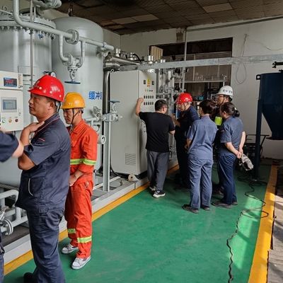 Hoge zuiverheid waterstof verwijderde stikstofgasgeneratie zuiveringsmiddel met ASME
